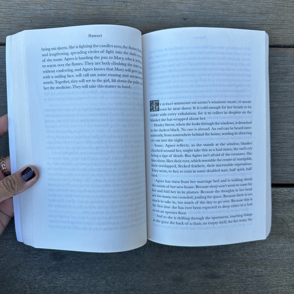 HAMNET | paperback - Picture 2 of 4